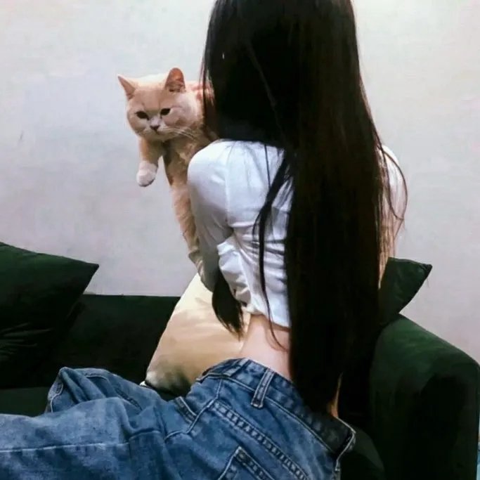 豆田战役