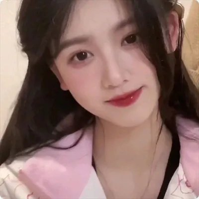 公主复仇者